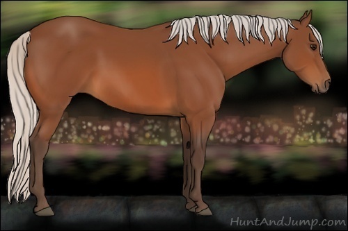 Horse Color:Silver Bay 