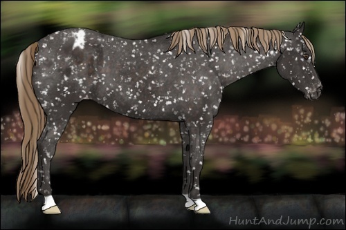 Horse Color:Liver Chestnut Snowflake Varnish 