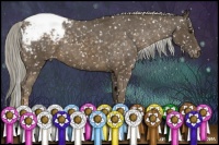 Horse Color:Chocolate Palomino Snowcap