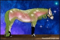 Horse Color:Watercolor Liver Red Onyx Tobiano Rabicano 