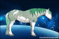 Horse Color:Watercolor Liver Chestnut Ice Splash Appaloosa 