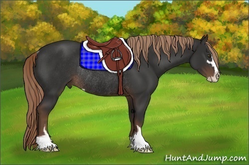 Horse Color:Liver Chestnut Sabino Rabicano