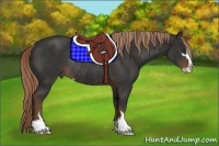 Horse Color:Liver Chestnut Sabino Rabicano 