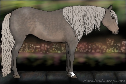 Horse Color:Silver Black 