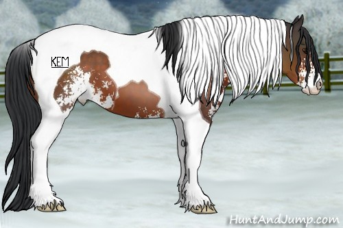 Horse Color:Brown Sabino Tobiano 