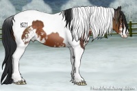 Horse Color:Brown Sabino Tobiano 