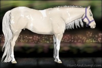Horse Color:White Spotted Silver Smoky Black Pearl Tobiano 