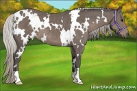 Horse Color:White Spotted Silver Black 