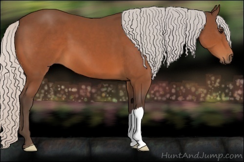 Horse Color:Silver Brown