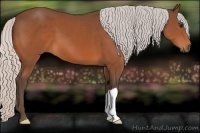 Horse Color:Silver Brown