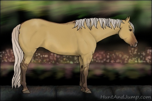 Horse Color:Silver Brown Dun 
