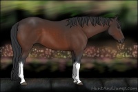 Horse Color:Brown 