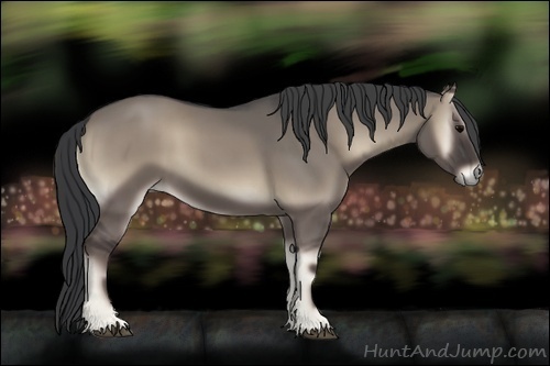 Horse Color:Grullo Onyx