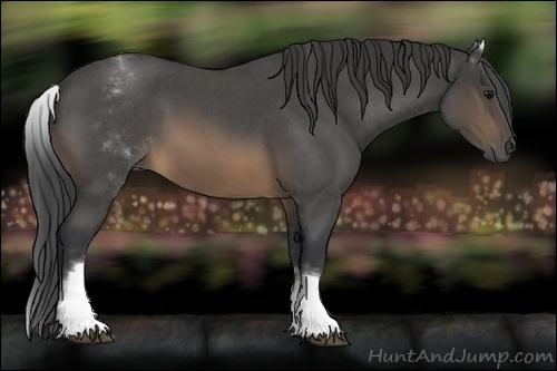 Horse Color:White Spotted Buckskin Roan