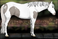 Horse Color:Silver Grullo Sabino Splash Tobiano Varnish