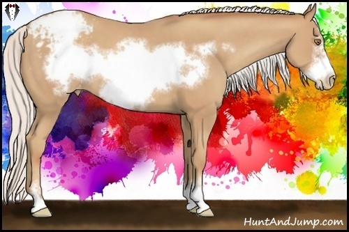 Horse Color:Silver Classic Champagne Sabino Frame Varnish