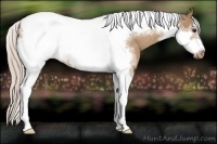 Horse Color:Silver Brown Dun Tobiano Frame Snowcap