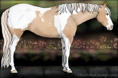 Horse Color:Silver Classic Champagne Splash Tobiano Appaloosa 