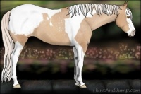 Horse Color:Silver Classic Champagne Splash Tobiano Snowcap