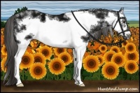 Horse Color:White Spotted Liver Chestnut Ice Splash Frame 