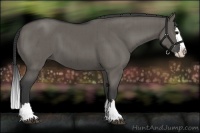 Horse Color:Grullo Sabino Splash Brindle 