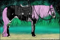 Horse Color:Watercolor Chocolate Palomino Ice Sabino Appaloosa Rabicano 