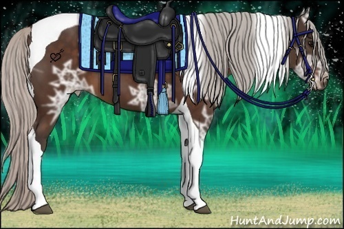 Horse Color:Silver Brown Ice Tobiano 