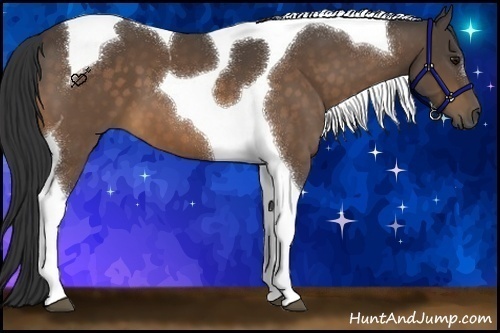 Horse Color:Buckskin Tobiano