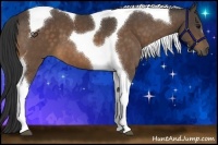 Horse Color:Buckskin Tobiano 