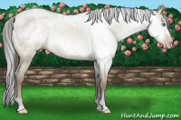 Horse Color:Gray Amber Champagne Roan Dun 