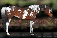 Horse Color:White Spotted Brown Varnish 