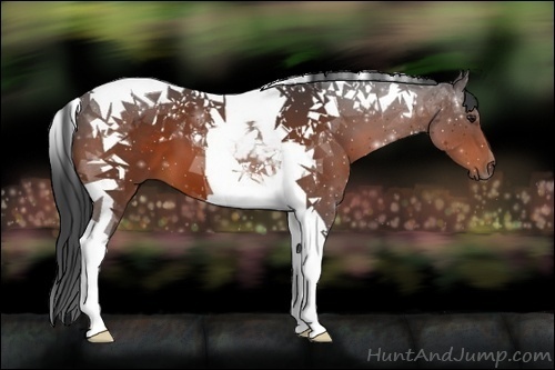 Horse Color:Brown Tobiano 