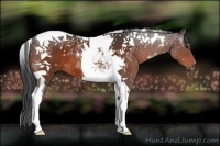 Horse Color:Brown Tobiano 