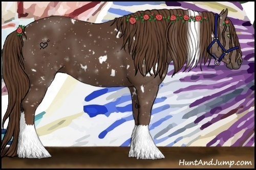 Horse Color:White Spotted Liver Chestnut 