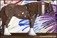 Horse Color:White Spotted Liver Chestnut 