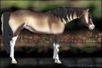 Horse Color:Bay Onyx Sabino Rabicano 