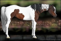 Horse Color:Brown Tobiano 