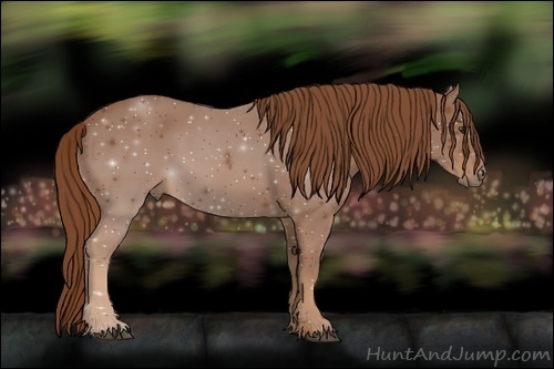 Horse Color:Chestnut Rabicano 