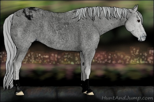 Horse Color:ERROR: UNKNOWN ANOMALY