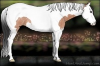 Horse Color:Bay Roan Splash Tobiano