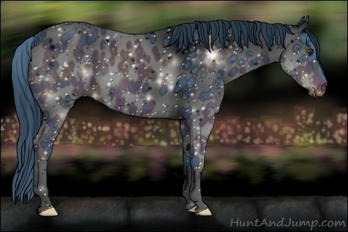 Horse Color:ERROR: UNKNOWN ANOMALY