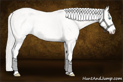 Horse Color:Silver Smoky Creme Ice Roan Dun Sabino 