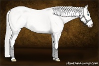 Horse Color:Silver Smoky Creme Ice Roan Dun Sabino 