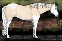 Horse Color:Silver Classic Cream Champagne Splash Varnish Rabicano 