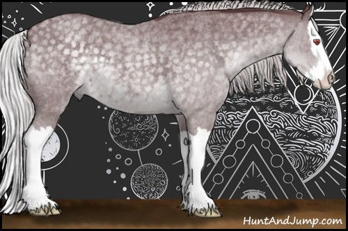 Horse Color:Chocolate Silver Blue Chinchilla Roan Splash 