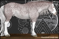 Horse Color:Chocolate Silver Blue Chinchilla Roan Splash 