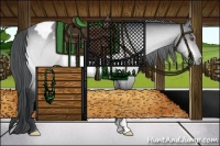 Horse Color:Brown Chinchilla Appaloosa 