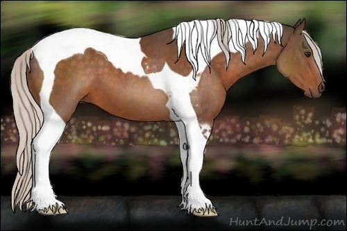 Horse Color:Silver Brown Tobiano 