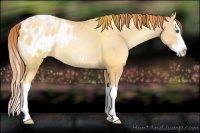 Horse Color:Sable Champagne Pearl Splash Appaloosa Rabicano 