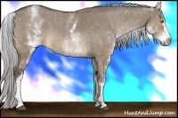 Horse Color:Painted White Spotted Silver Brown Dun 